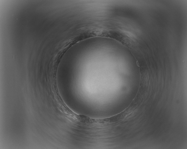 X0000053081105200507111237