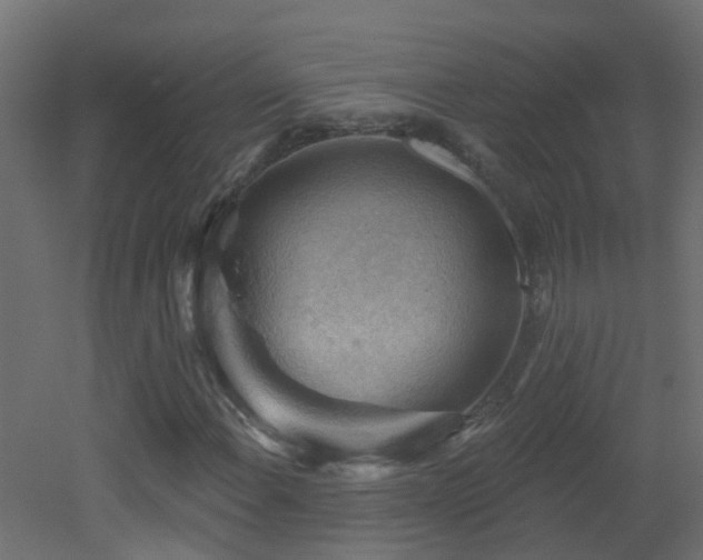 X0000053081108200507111237