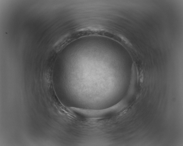 X0000053081110200507111237