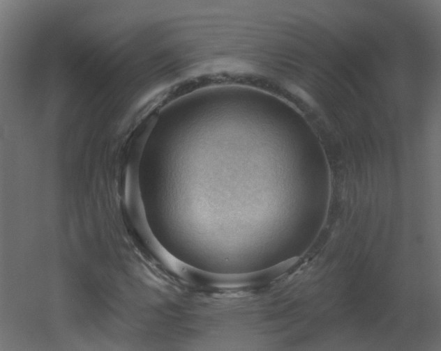 X0000053081112200507111237