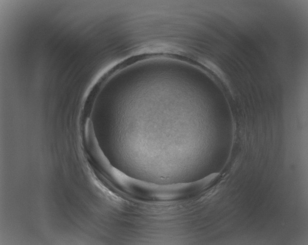 X0000053081120200507111237