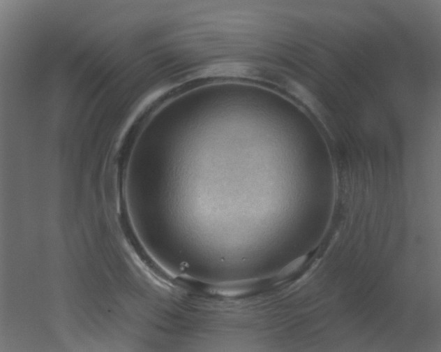 X0000053081123200507111237