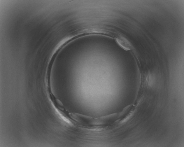 X0000053081141200507111238