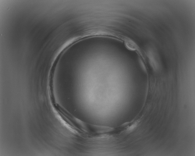 X0000053081142200507111238