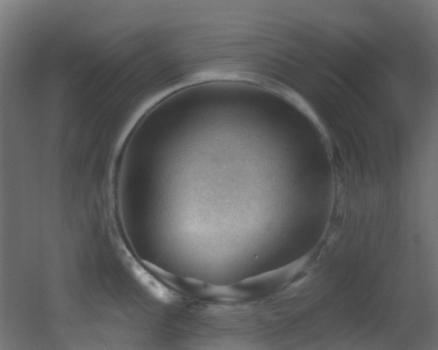 X0000053081148200507111238