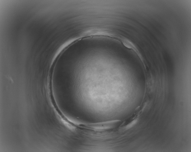 X0000053081149200507111238