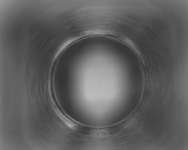 X0000053081187200507111236