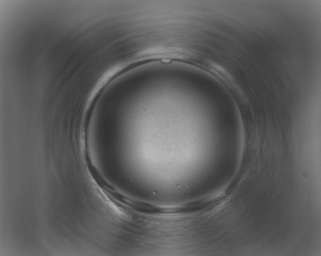 X0000053081188200507111236