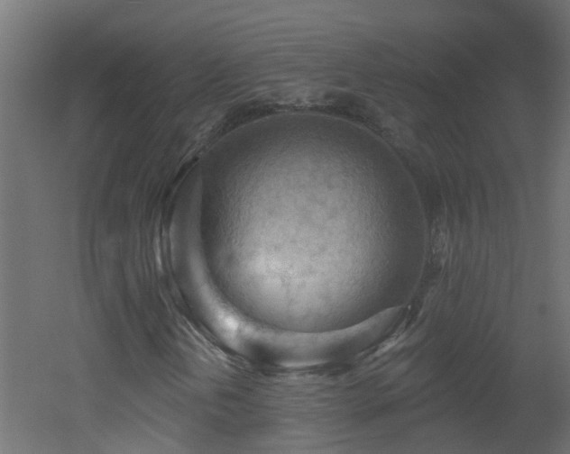 X0000053081202200507111235