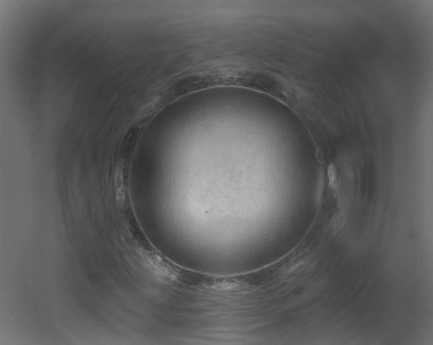 X0000053081203200507111235
