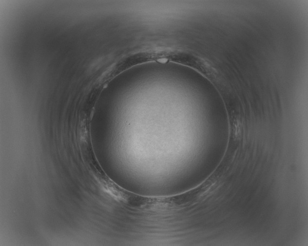 X0000053081204200507111235