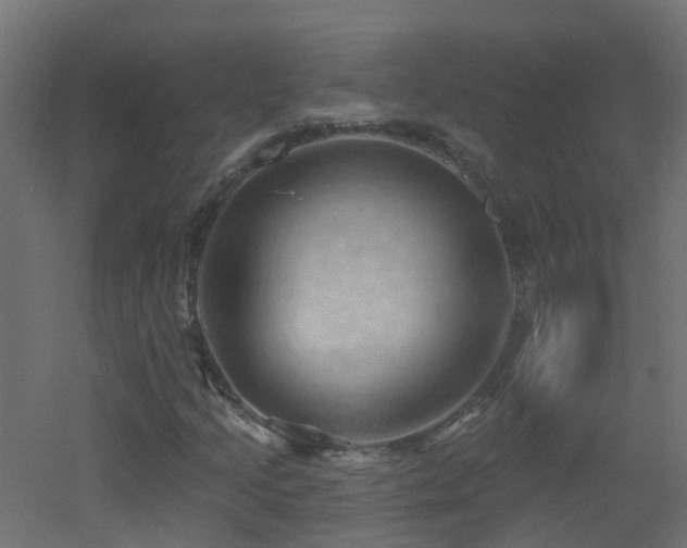 X0000053081205200507111235