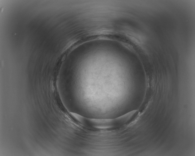X0000053081209200507111235