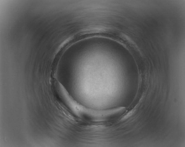 X0000053081210200507111235