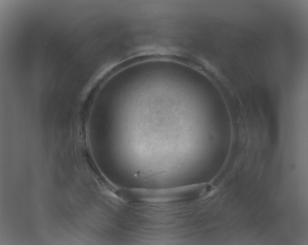 X0000053081215200507111236