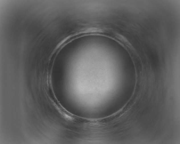 X0000053081220200507111236