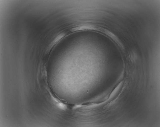 X0000053081241200507111236