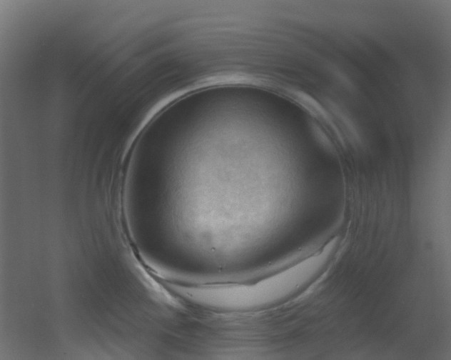 X0000053081244200507111236