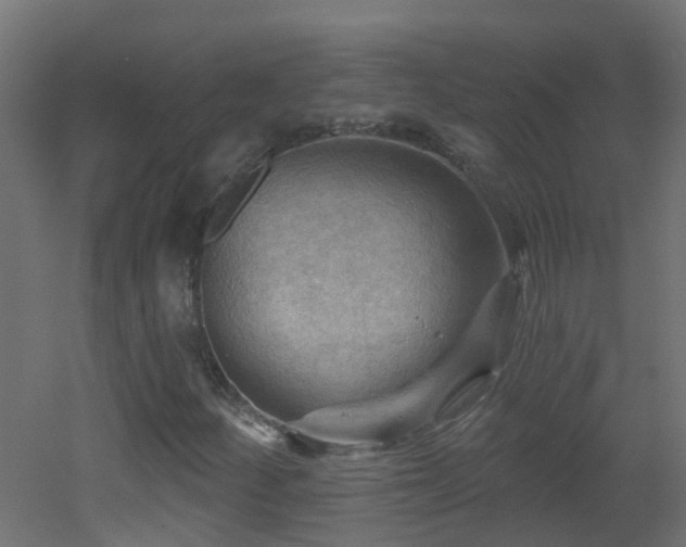 X0000053081252200507111235