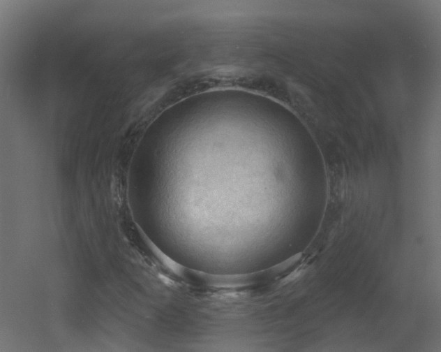 X0000053081253200507111235