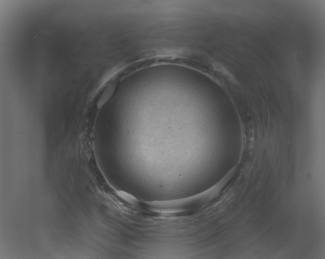 X0000053081256200507111235
