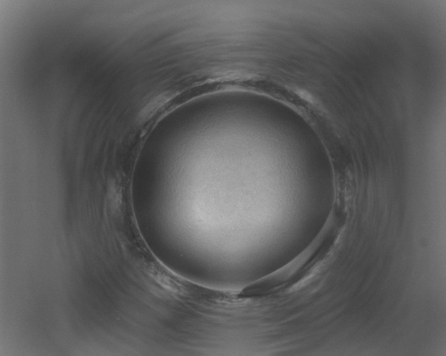 X0000053081257200507111235