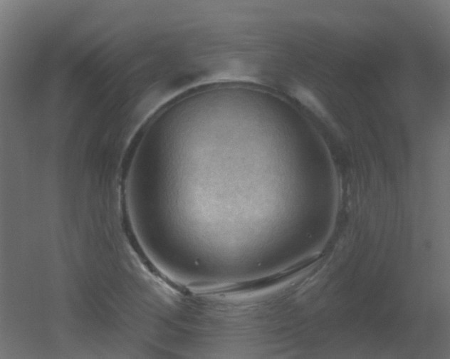 X0000053081268200507111235