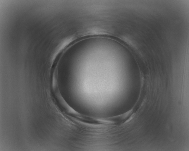X0000053081269200507111235