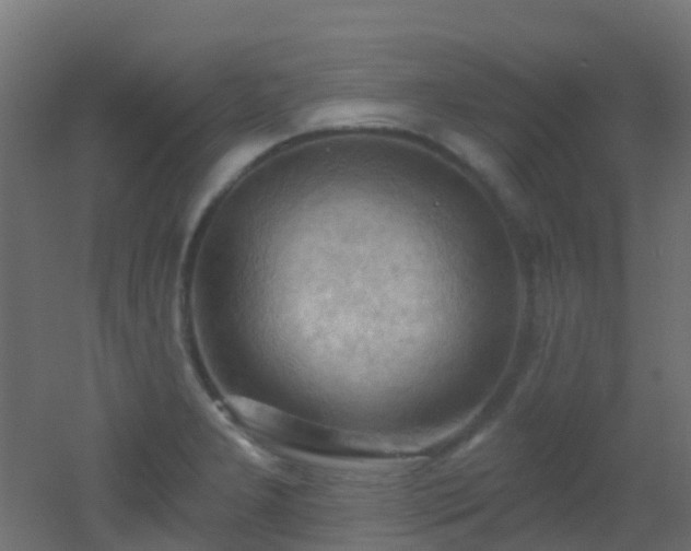 X0000053081277200507111235