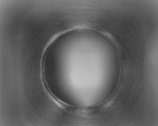 X0000053081286200507111235