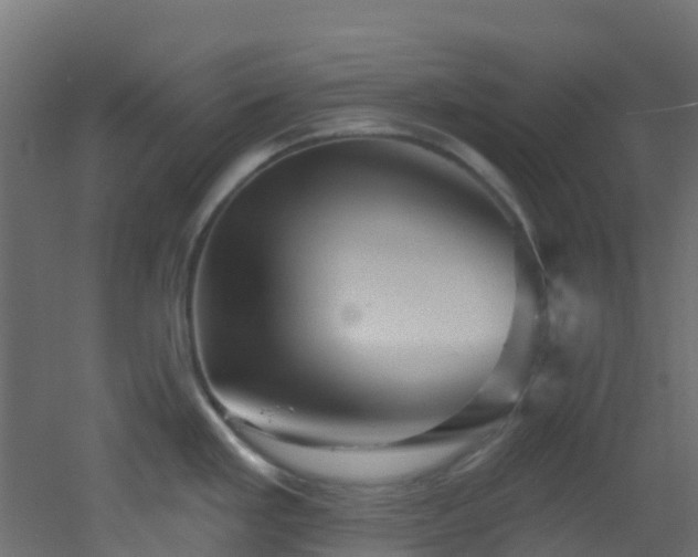 X0000053081293200507111235