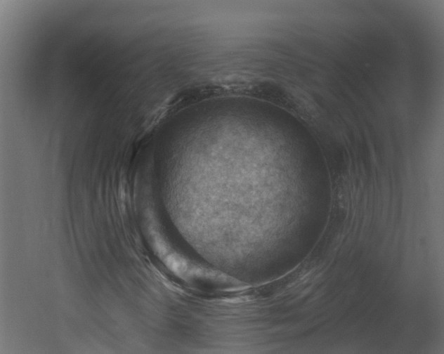 X0000053081298200507111234