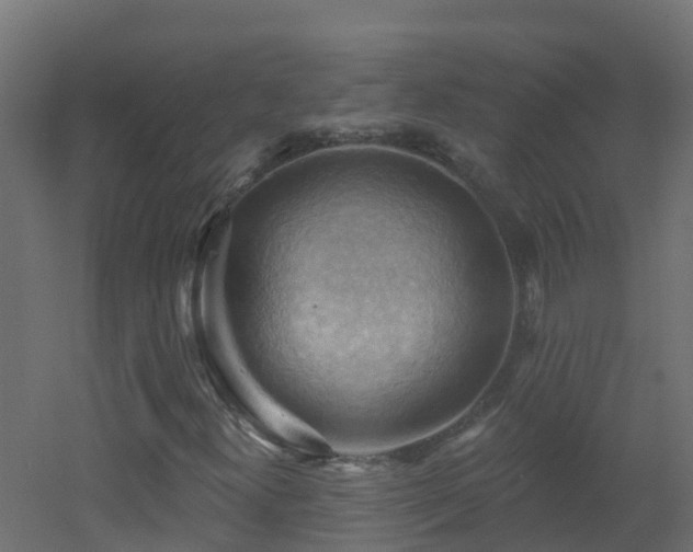 X0000053081300200507111234