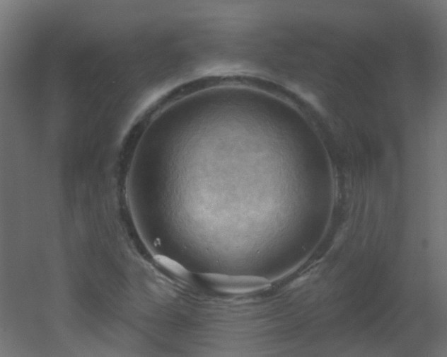 X0000053081311200507111234