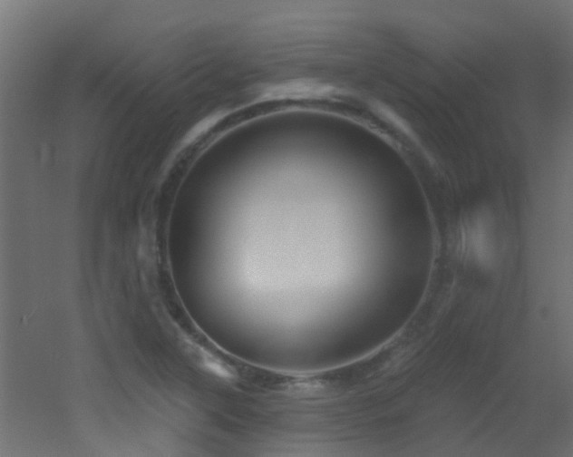X0000053081315200507111234