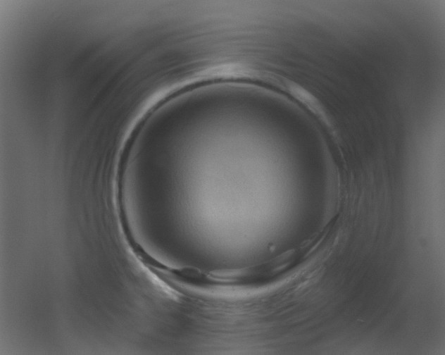 X0000053081334200507111234