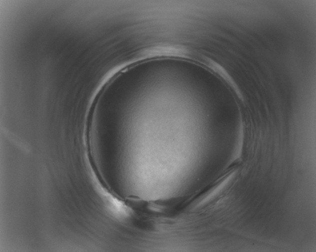 X0000053081339200507111234