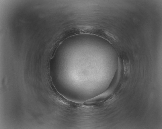 X0000053081345200507111234