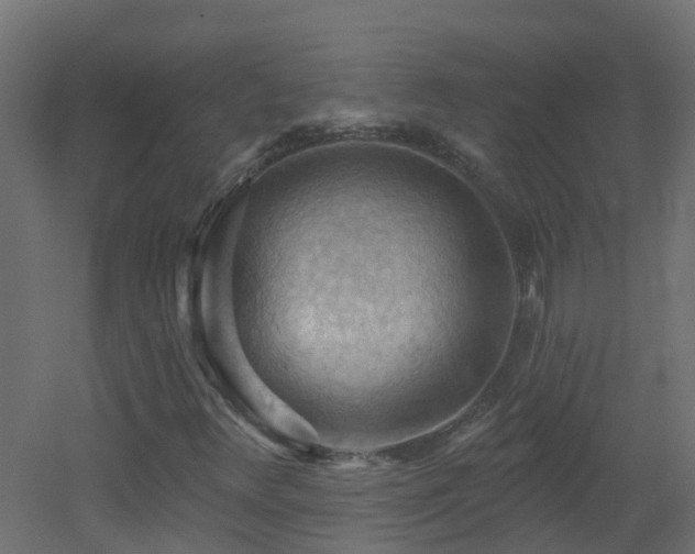 X0000053081348200507111234