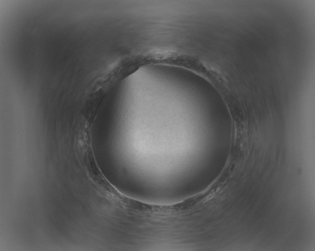 X0000053081349200507111234