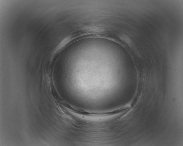 X0000053081354200507111233