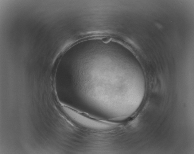X0000053081357200507111233