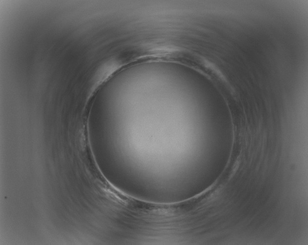 X0000053081362200507111233