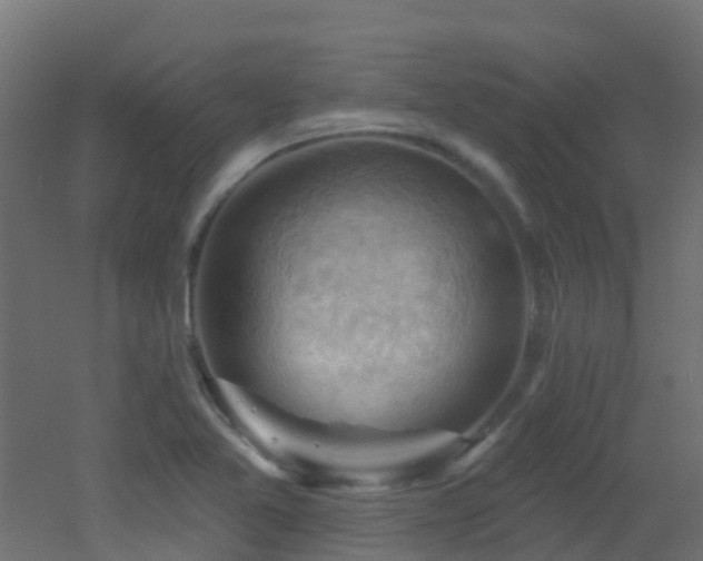 X0000053081365200507111233
