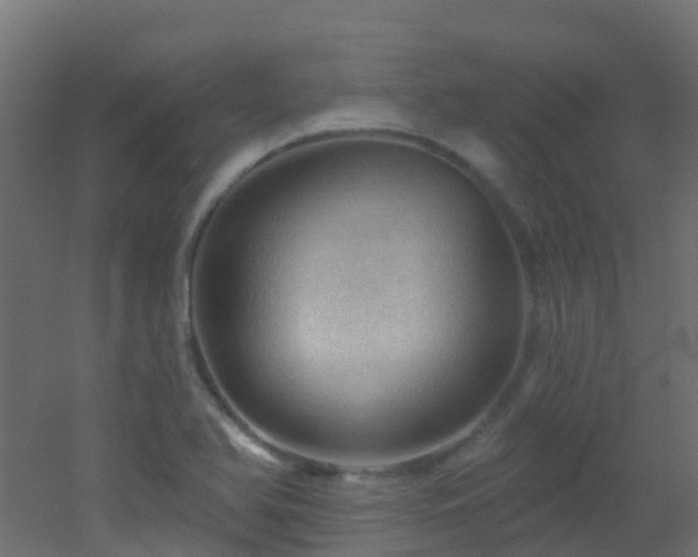 X0000053081366200507111233