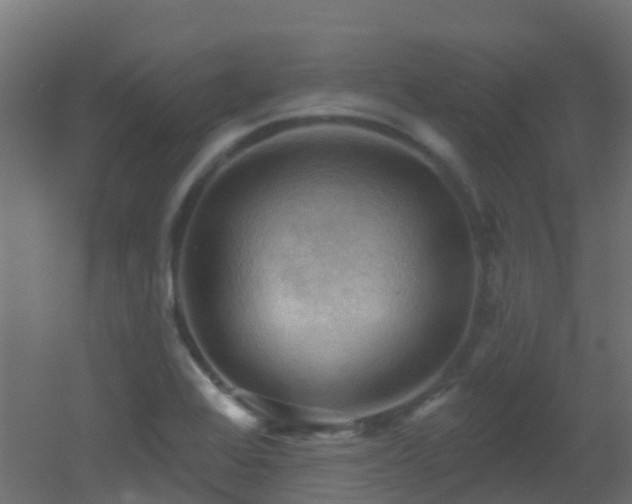 X0000053081368200507111233