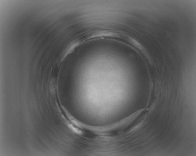 X0000053081377200507111233