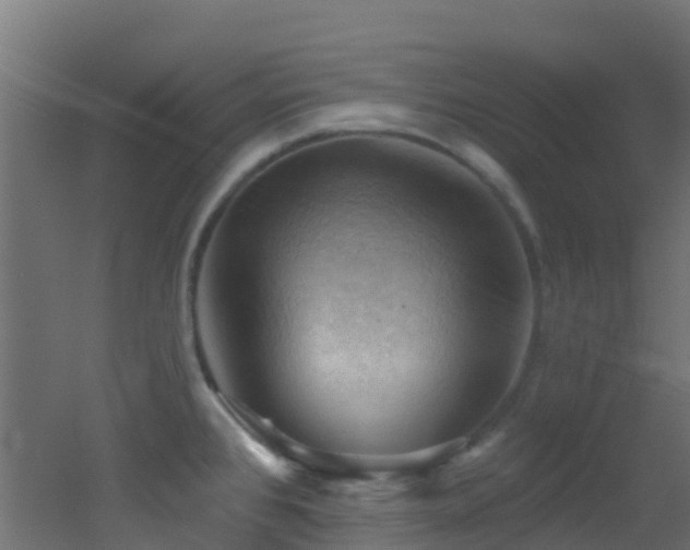 X0000053081384200507111233
