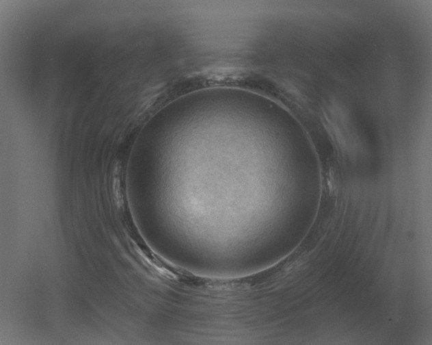 X0000053081396200507111232