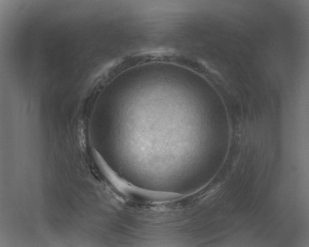 X0000053081398200507111232